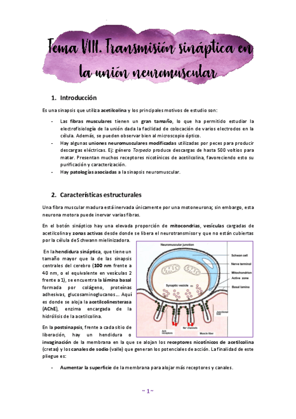 Miniatura del documento Tema-8.pdf