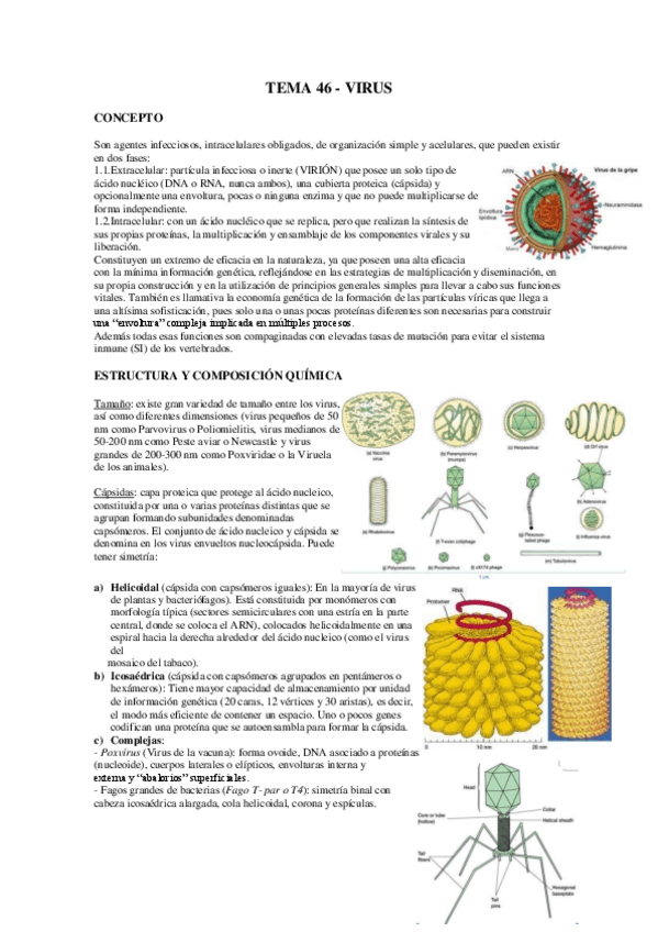 Miniatura del documento tema-46-48-virus.pdf