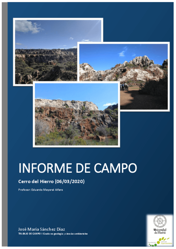 Miniatura del documento Informe-Cerro-del-Hierro.pdf