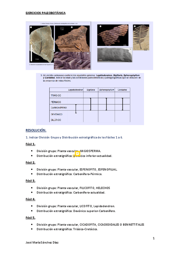 Miniatura del documento ejercicios-paleobotanica.pdf