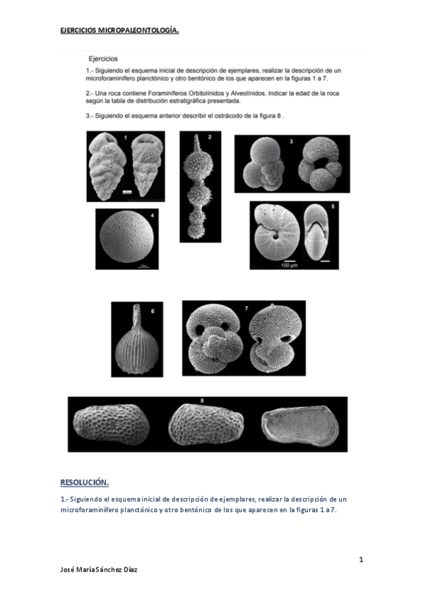Miniatura del documento ejercicios-micropaleontologia.pdf