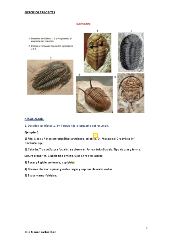 Miniatura del documento Ejercicios-Trilobites.pdf