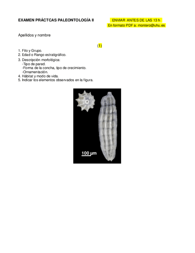 Miniatura del documento 5.pdf