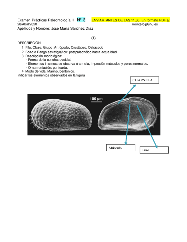 Miniatura del documento 4.pdf