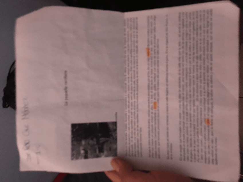 Miniatura del documento image.jpg