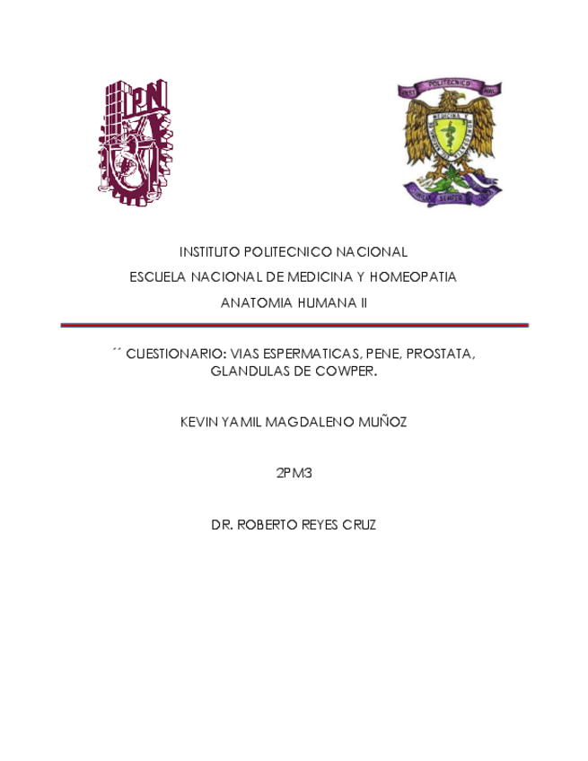 Miniatura del documento CUESTIONARIO-PERINES-URETRAS-APARATO-GENITAL-MASCULINO-TESTICULOS-Y-EPIDIDIMO-RESTOS-EMBRIONARIOS-DEL-TESTICULO.pdf