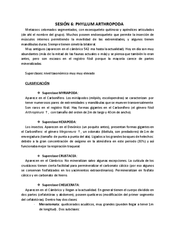 Miniatura del documento Práctica 6. Artrópodos