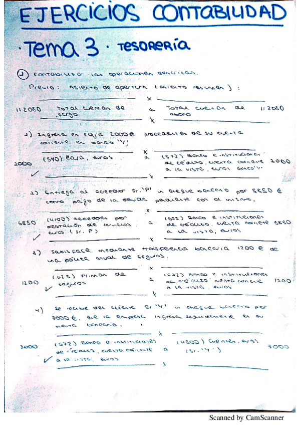 Miniatura del documento ejercicios-contabilidad-por-temas.pdf