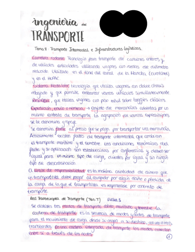 Miniatura del documento APUNTES-LOGISTICA.pdf