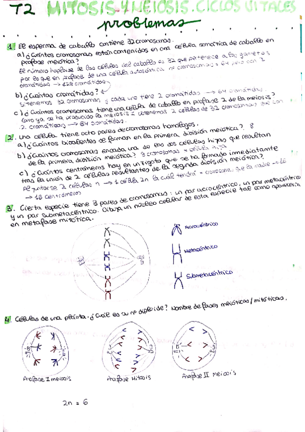 Miniatura del documento problemas-T2.pdf