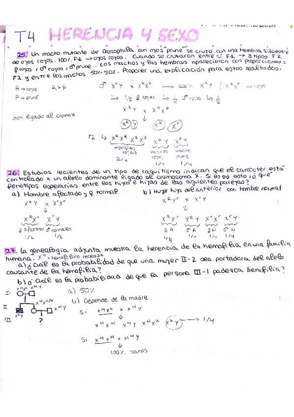 Miniatura del documento problemas-T4.pdf