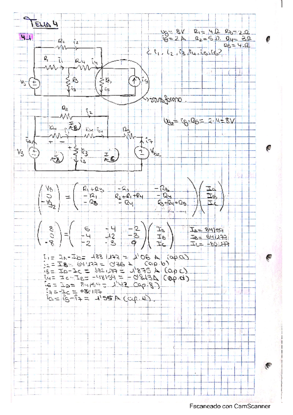 Miniatura del documento Tema4ProblemasFIE.pdf
