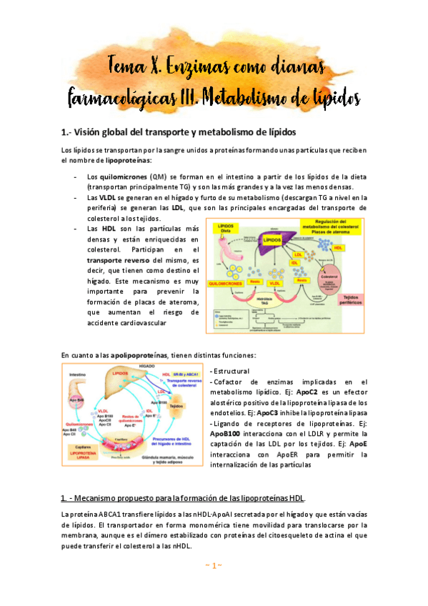 Miniatura del documento Tema-10.pdf