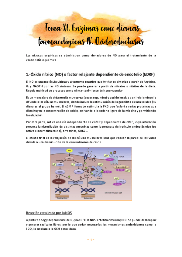 Miniatura del documento Tema-11.pdf