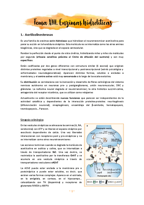 Miniatura del documento Tema-13.pdf