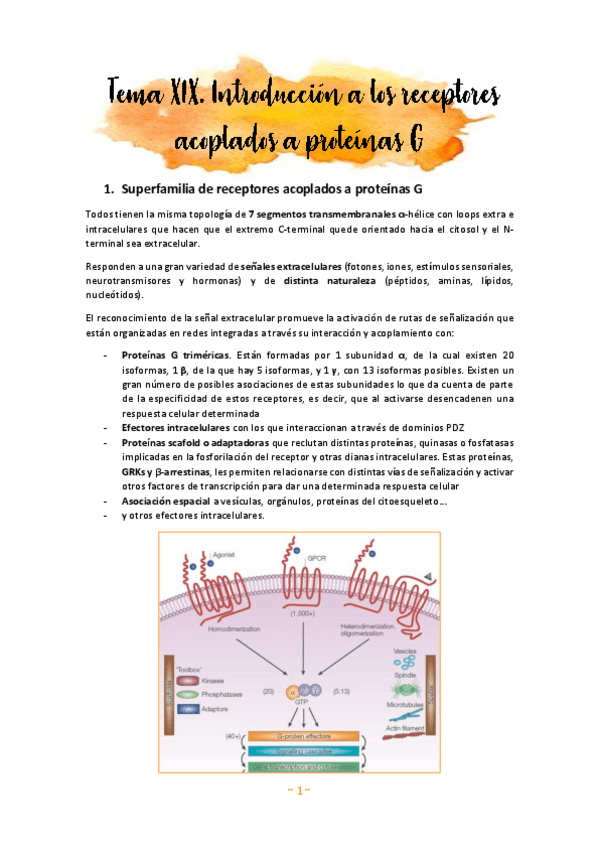 Miniatura del documento Tema-19A.pdf