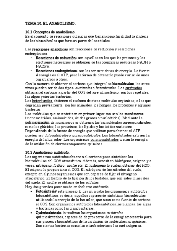 Miniatura del documento ANABOLISMO.pdf
