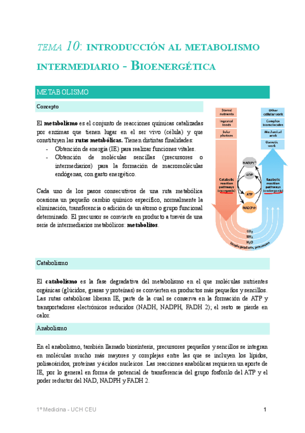 Miniatura del documento T10.pdf