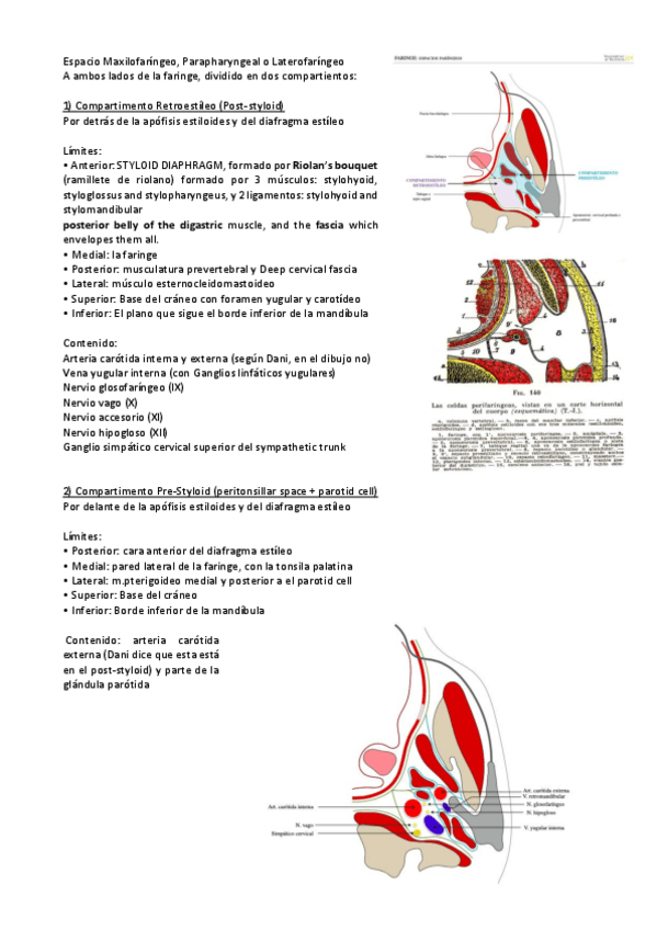 Miniatura del documento Espacio-Maxilofaringeo.pdf