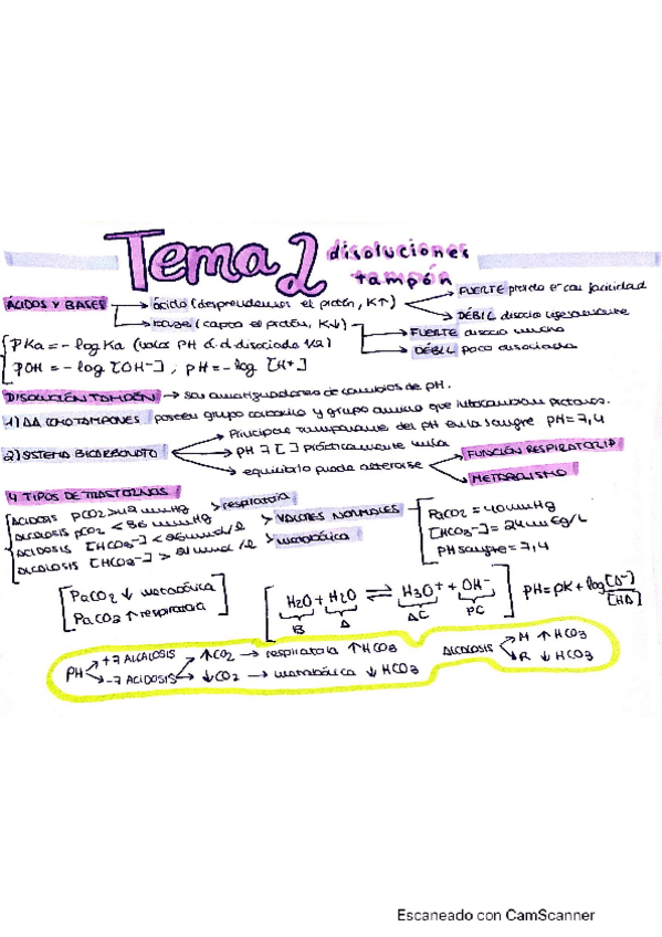 Miniatura del documento BIOQUIMICA-1PARTE.pdf