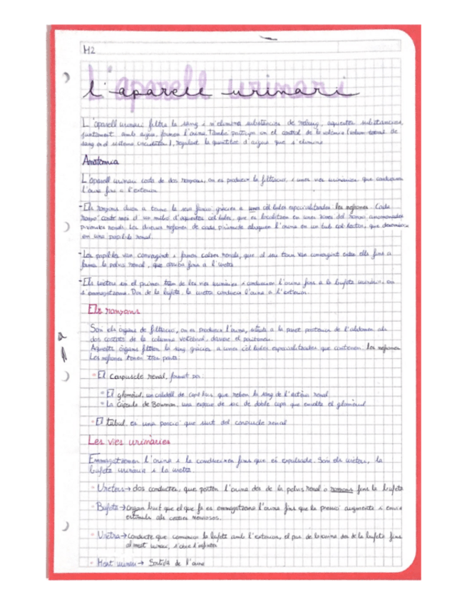 Miniatura del documento Aparato-Urinario.pdf