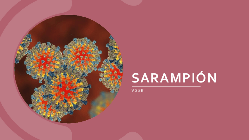 Miniatura del documento SARAMPION.pdf