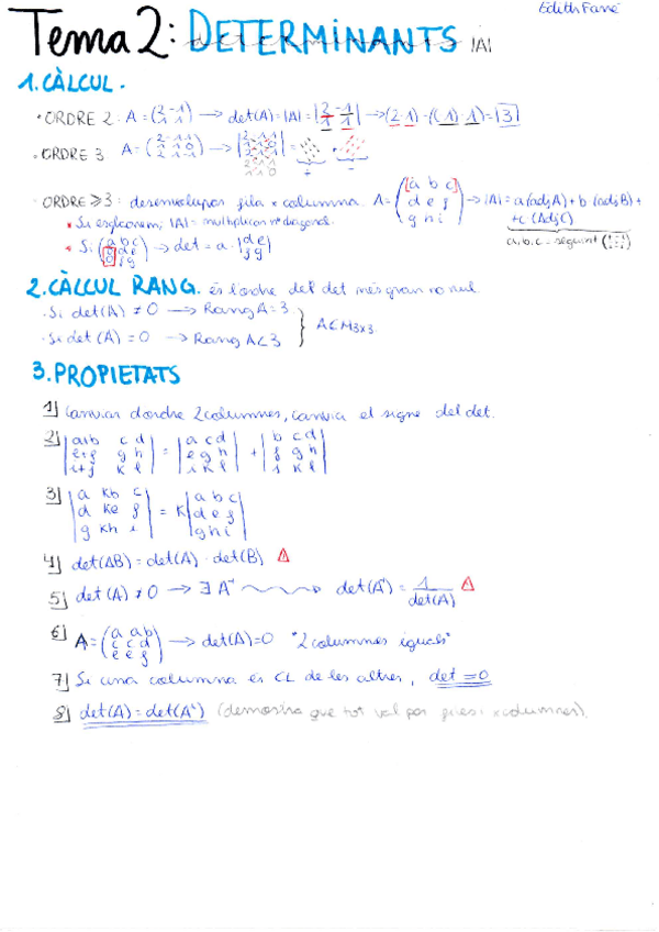 Miniatura del documento determinants.pdf
