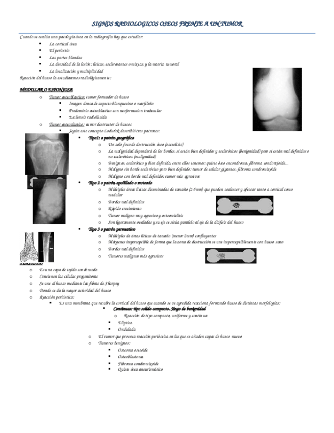 Miniatura del documento 11.docx