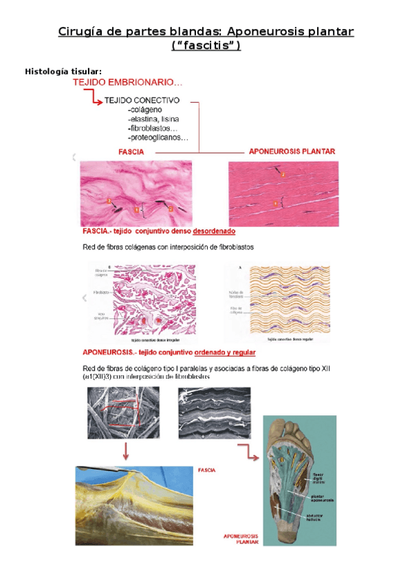 Miniatura del documento 20.docx