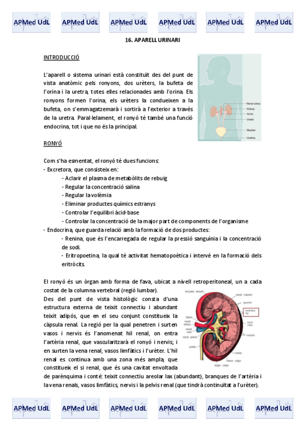 Miniatura del documento 16 (I). Aparell urinari.pdf