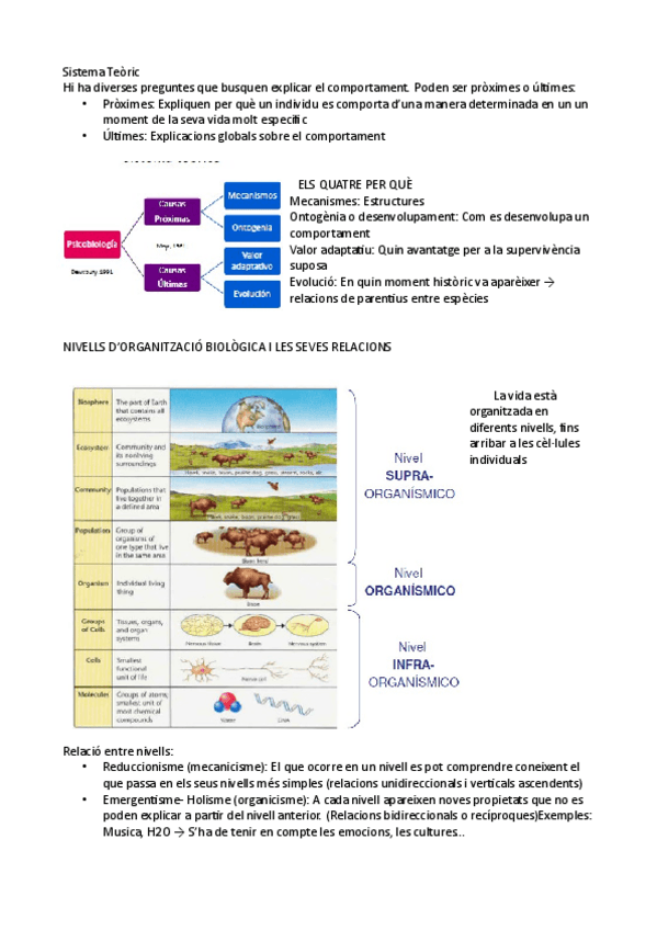 Miniatura del documento Tema-1-p-3.pdf