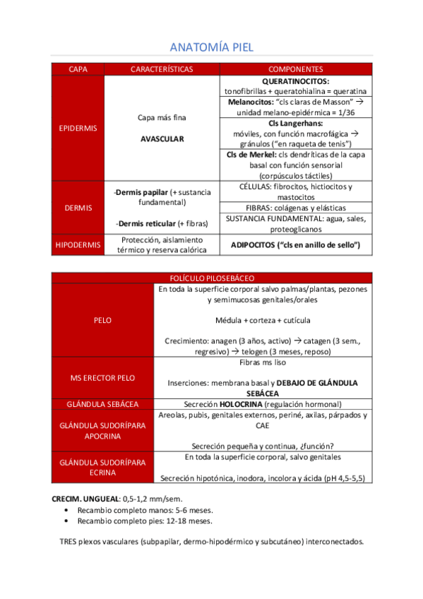 Miniatura del documento Resumen-derma.pdf