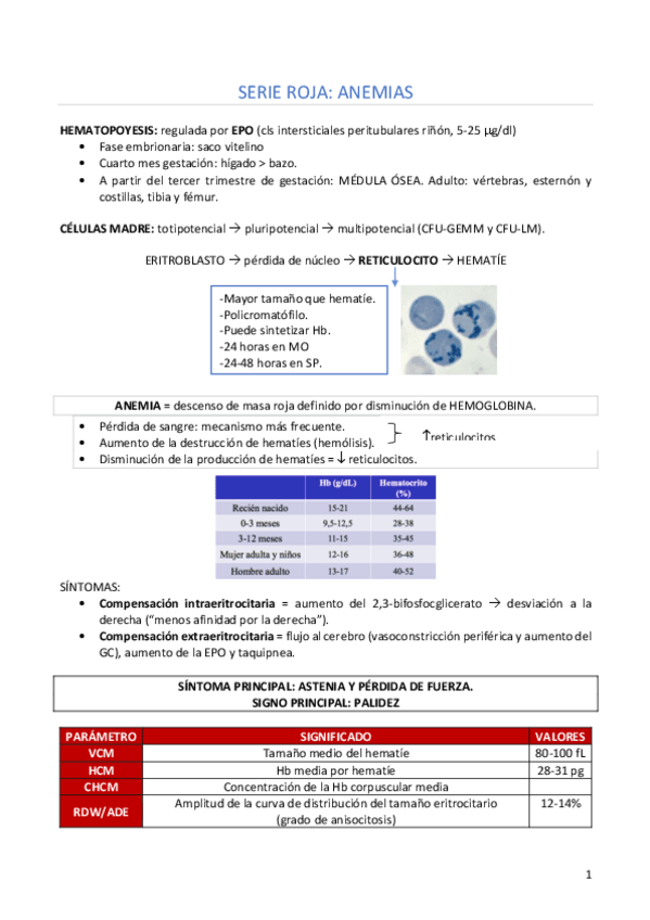 Miniatura del documento Resumen-hemato.pdf