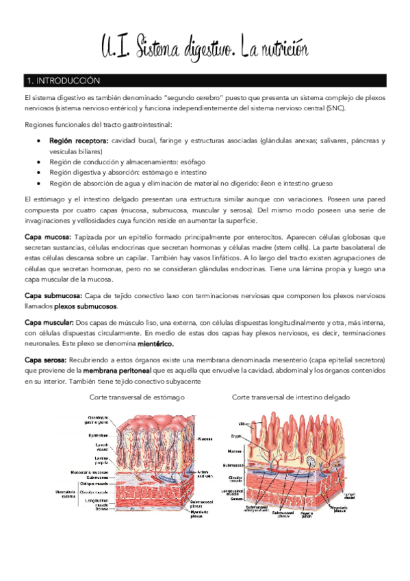 Miniatura del documento Tema-1-sistema-digestivo.pdf
