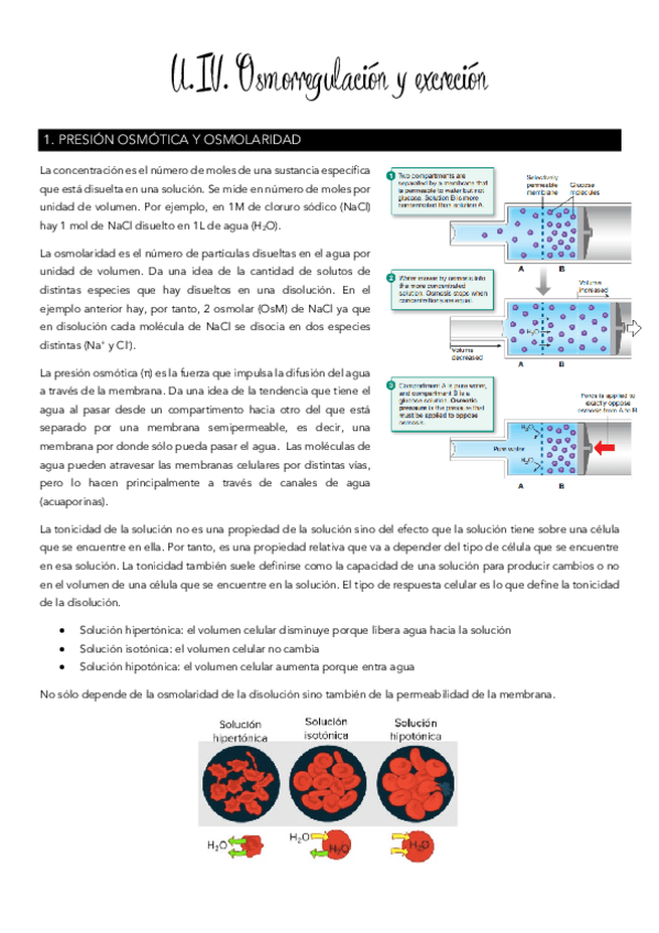 Miniatura del documento Tema-4-osmorregulacion.pdf