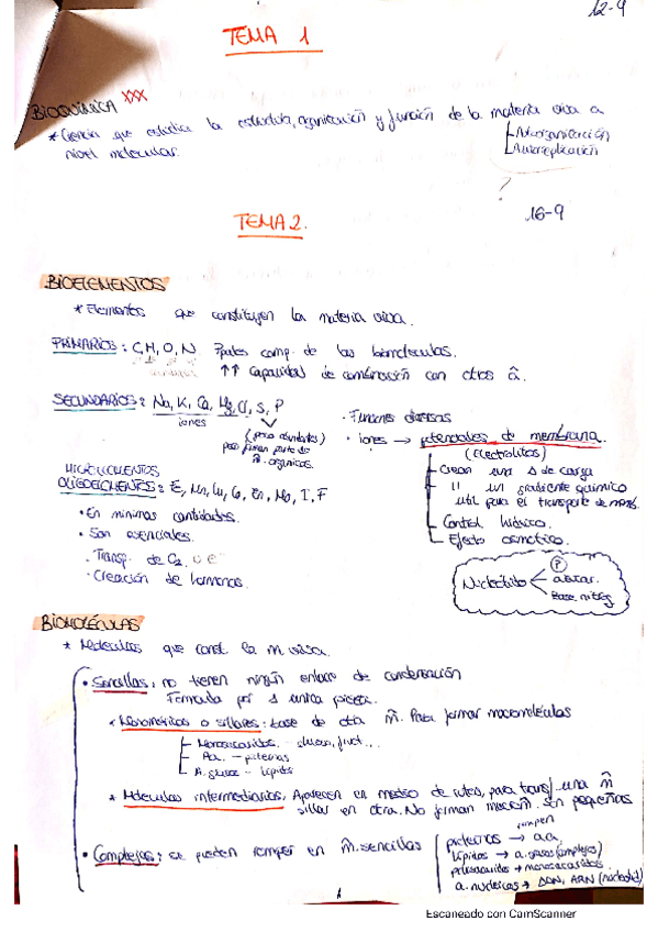 Miniatura del documento CamScanner-07-08-2020-11.pdf