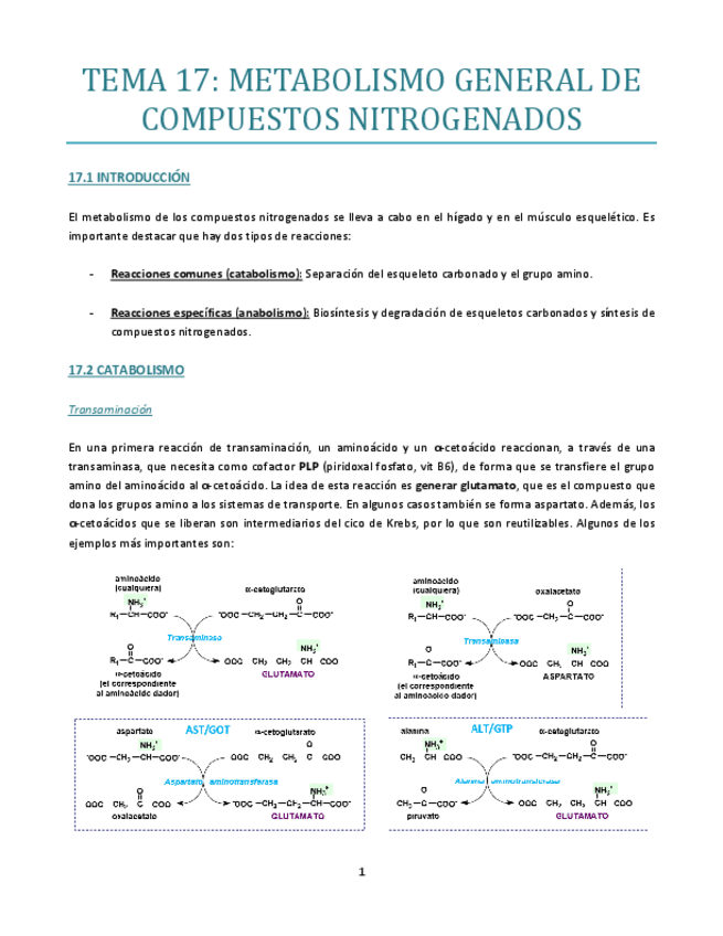 Miniatura del documento TEMA-17.pdf