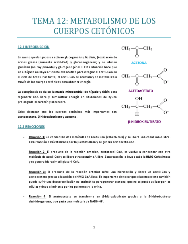 Miniatura del documento TEMA-12-bueno.pdf