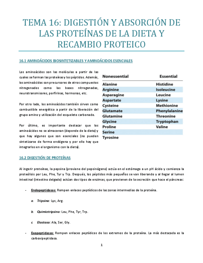 Miniatura del documento TEMA-16.pdf