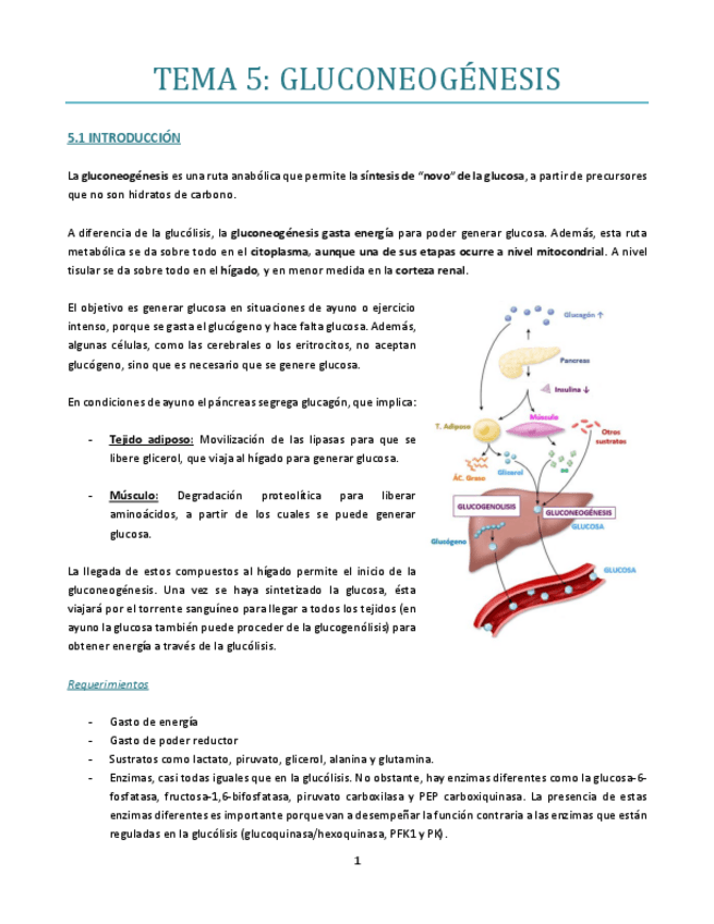 Miniatura del documento TEMA-5.pdf
