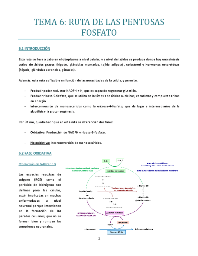 Miniatura del documento TEMA-6.pdf