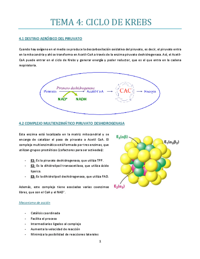 Miniatura del documento TEMA-4-bueno.pdf