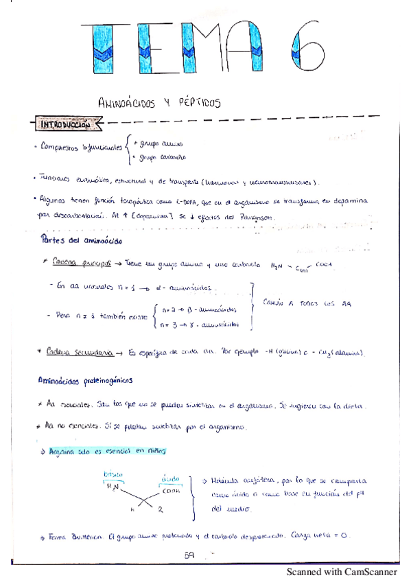 Miniatura del documento Tema-6-organica-II.pdf