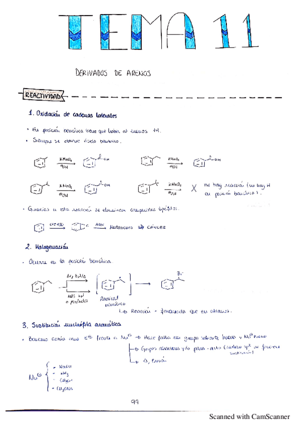 Miniatura del documento Tema-11-organica-II.pdf