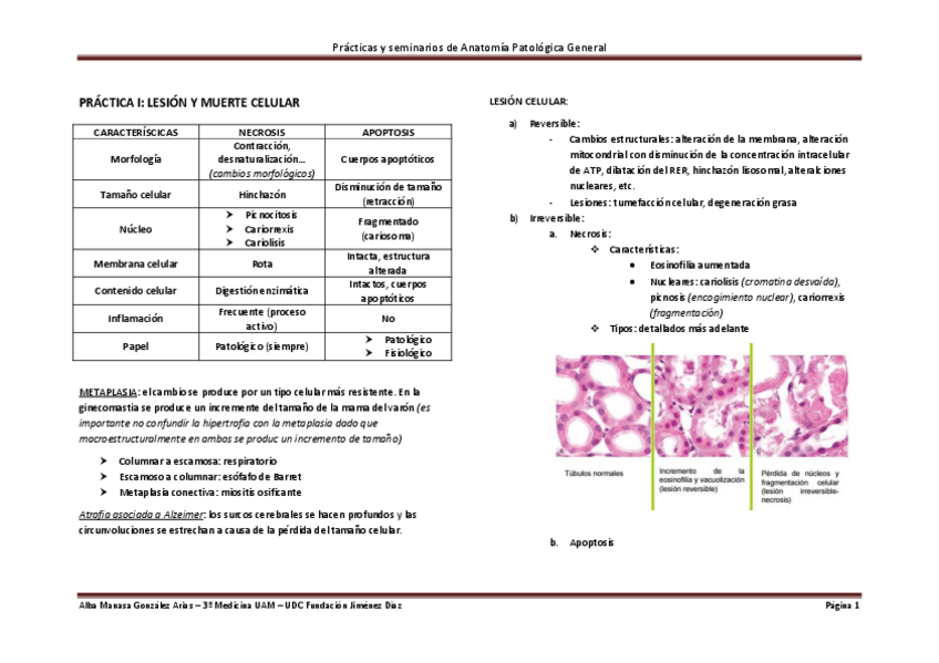 Miniatura del documento PRACTICA.pdf