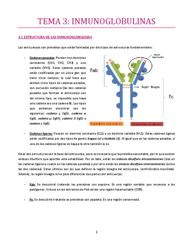 Miniatura del documento TEMA-3-Inmuno.pdf
