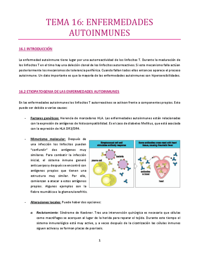 Miniatura del documento TEMA-16-Inmuno.pdf