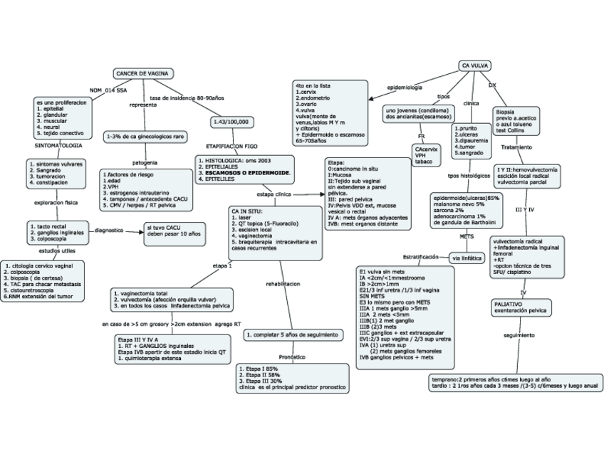 Miniatura del documento CA-DE-VULVA-Y-VAGINA.pdf