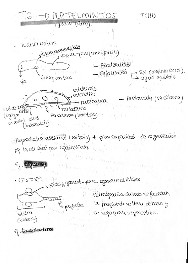 Miniatura del documento zoo6.pdf