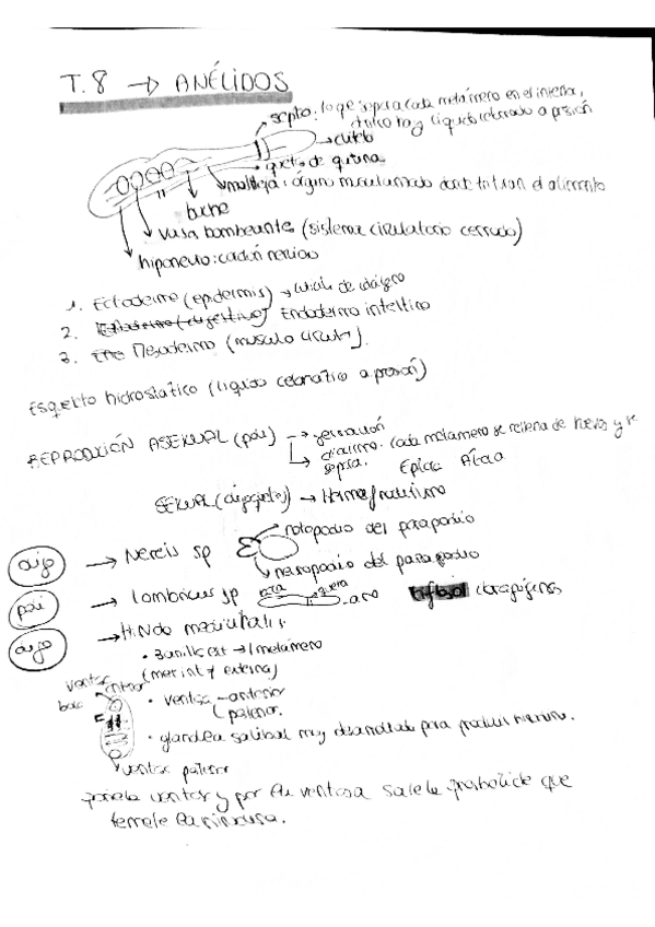 Miniatura del documento zoo8.pdf